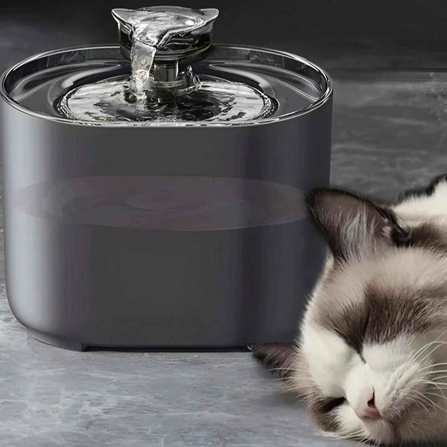 WhiskerFlow Pet Water Fountain